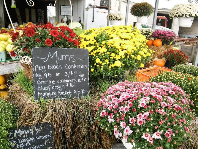 Steiner's Farm Market