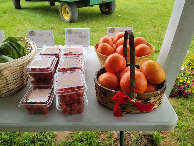 TLH Farms