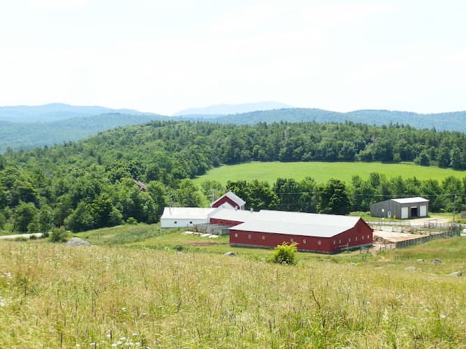 Yankee Farmer's Market