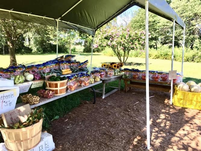 Homegrown Farm Stand