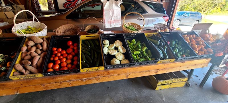 Reckamp Farms