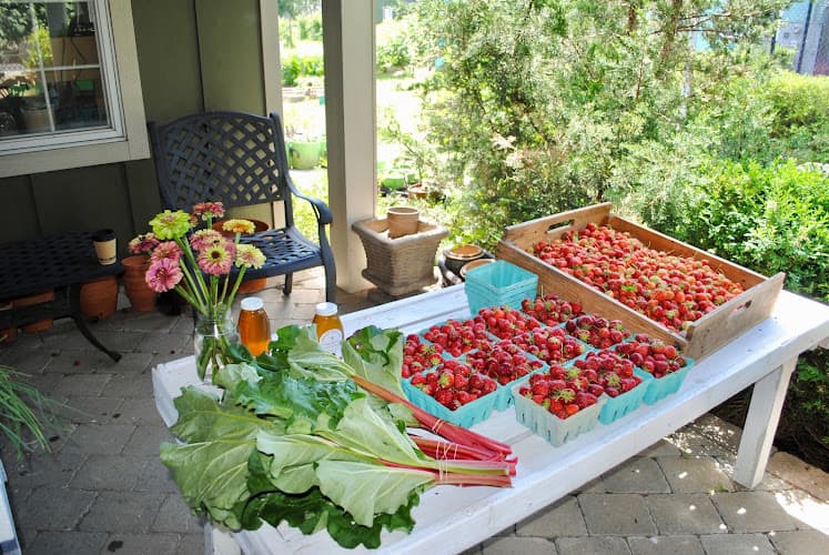 Rexer Family Farm