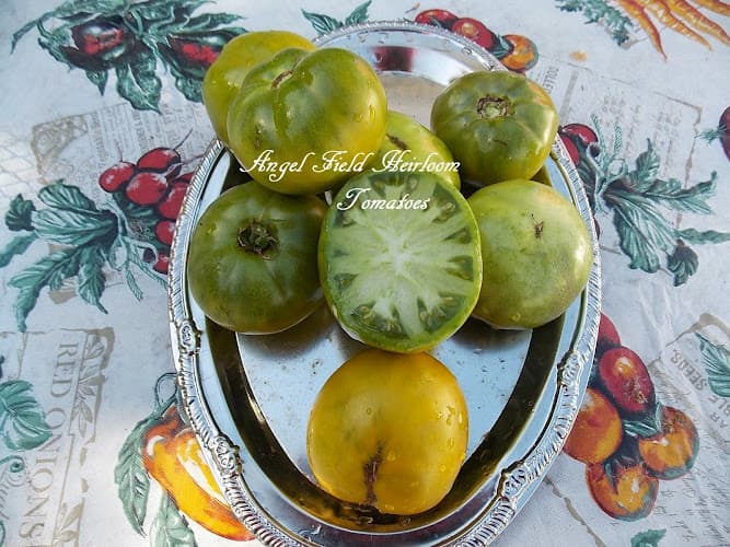 Angel Field Heirloom Tomatoes