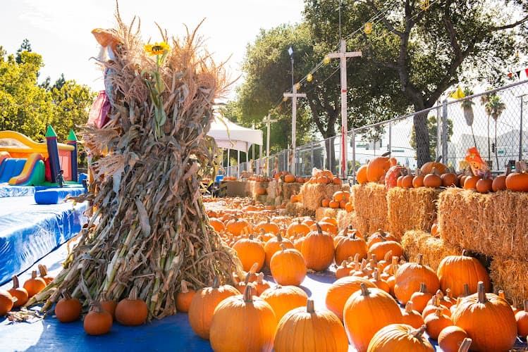 ABC Tree Farms & Pick of the Patch Pumpkins