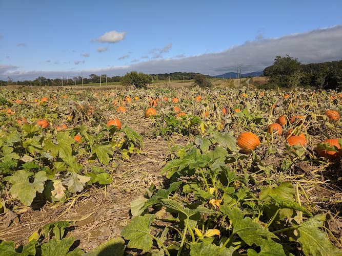 Middle River Farms