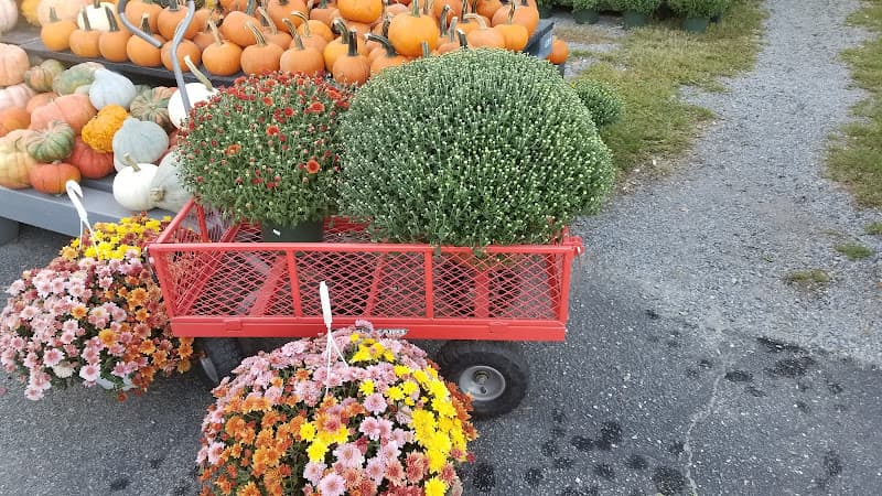 Hampton Fruit & Vegetable