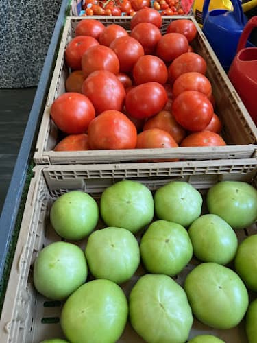 Silver Spring Farm Market