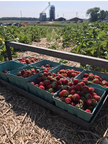 Huhn Strawberry Farm