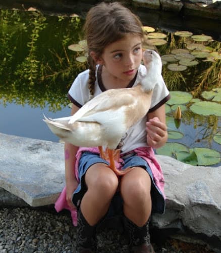 Quacken Farms