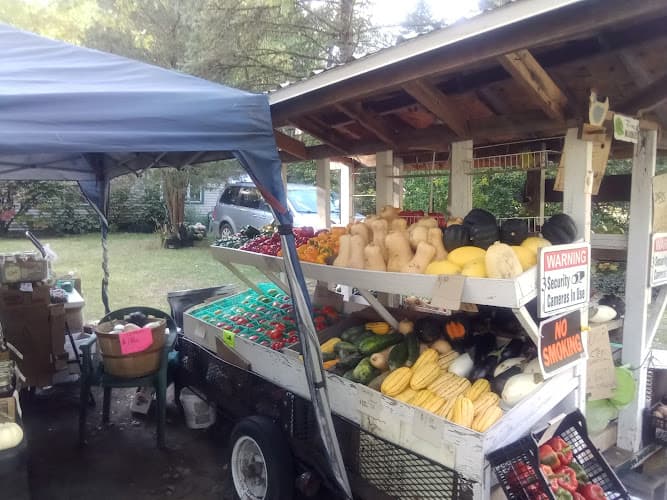 JoAnn's Fresh Vegetable Stand
