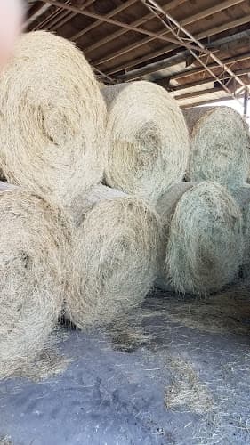 Kornegay Farms, Inc.