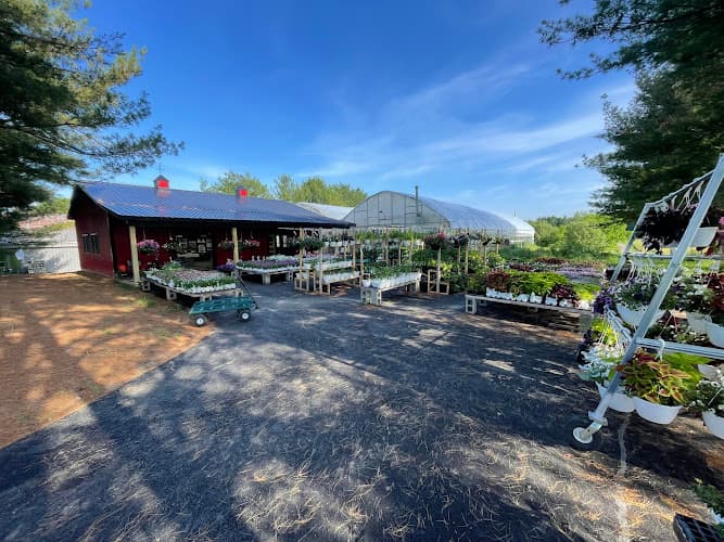 Bethel Lane Farm Stop