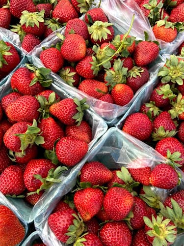 Lilburn Farmers Market