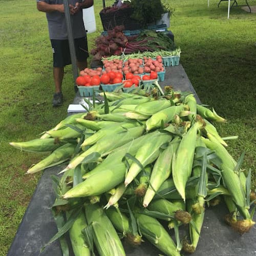 Avoca Farmers Market