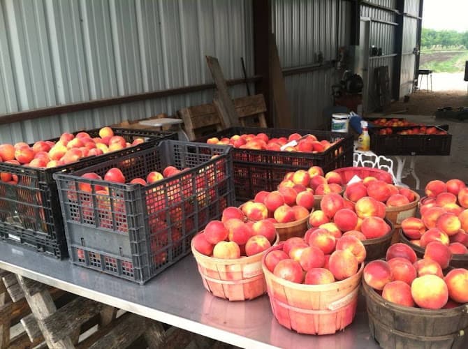 Boenig Farm