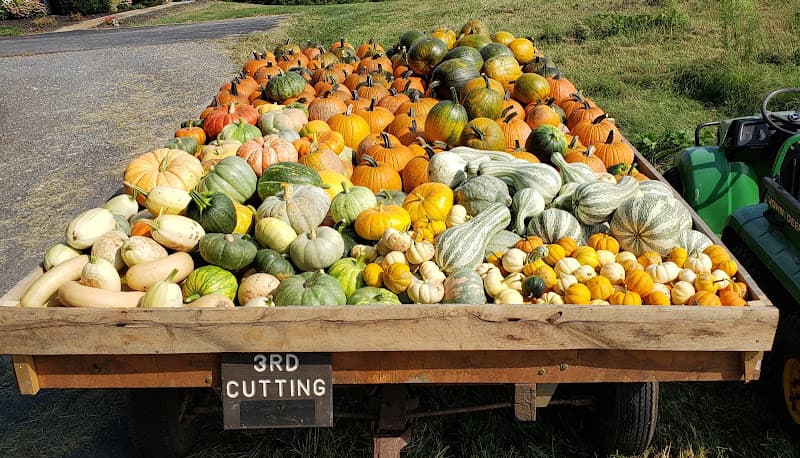 Vista View Farms