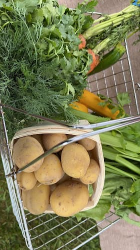 Carmel Farmers’ Market