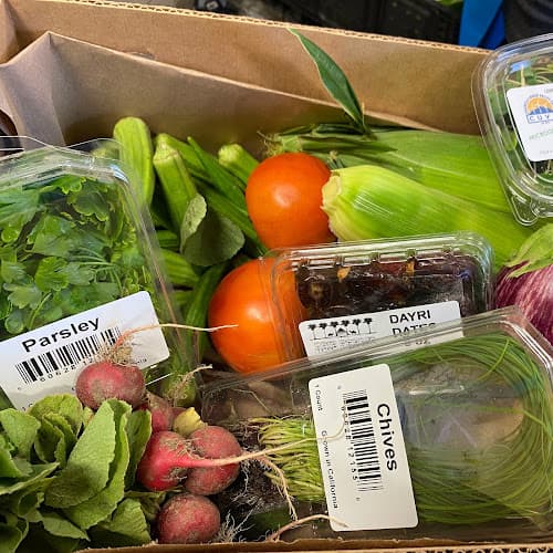 CV Harvest Box