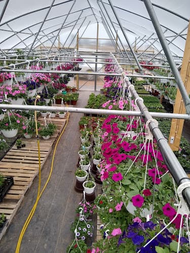 Wesenberg Produce