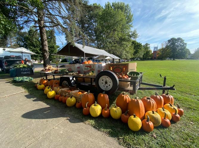 Fedei Farms