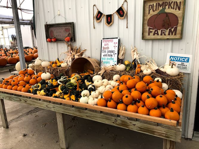 Fitch's Farm Market
