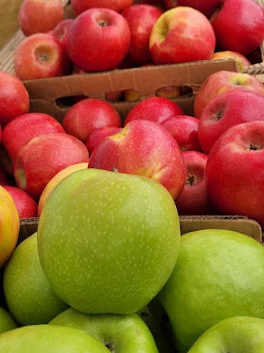Waterfront Farmers Market