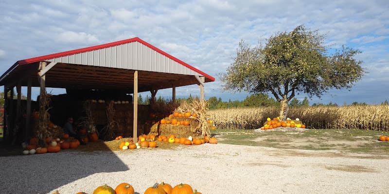 Davis Farms 123