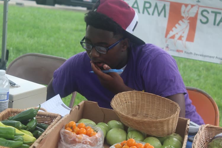 Islandview Farmers Market