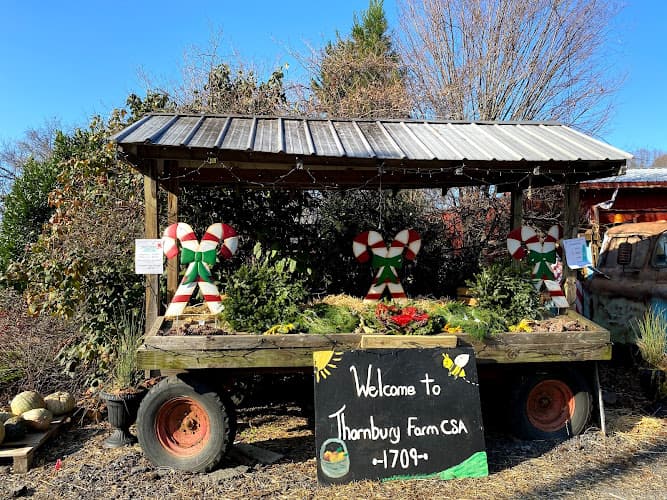 Thornbury Farm CSA