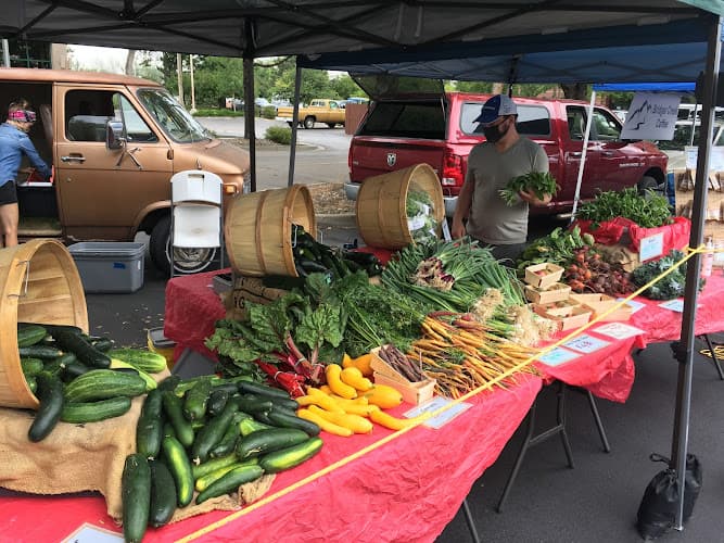 Pondy Mountain Produce