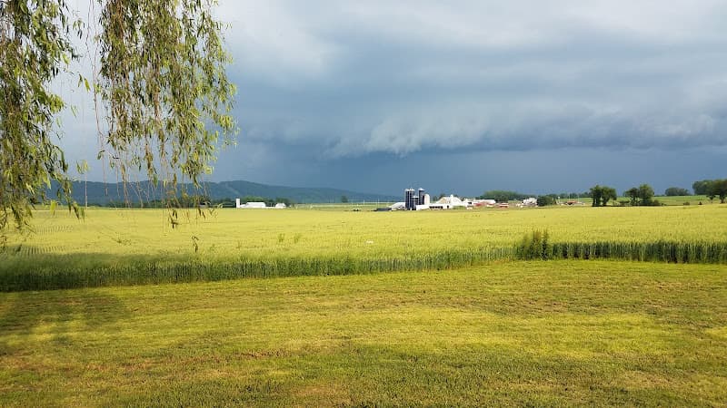 Prout's Jollyview FarmMarket