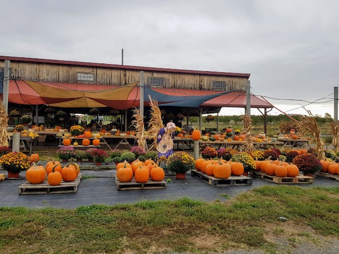 Brossman's Farm
