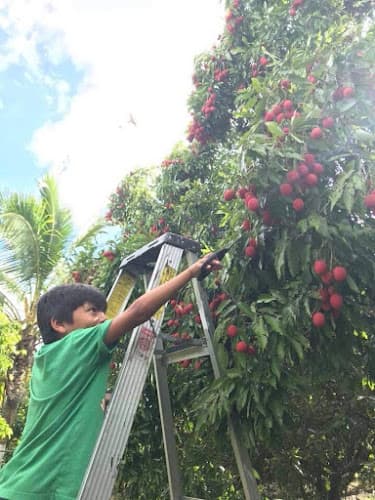 Bulango Farms