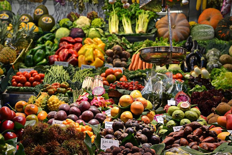 Tampa Farmers Market