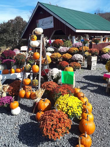 Leister's Farm Market