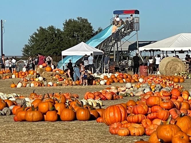 Texas Pumpkin Fest