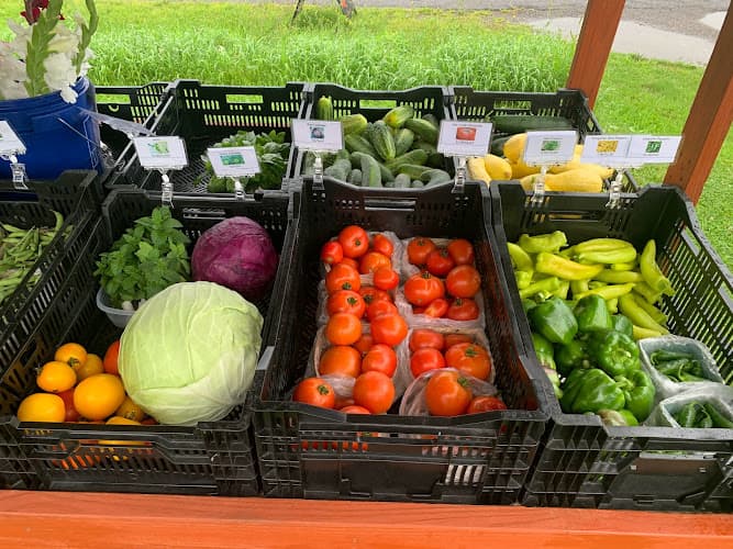 Ludlow Farms WNY
