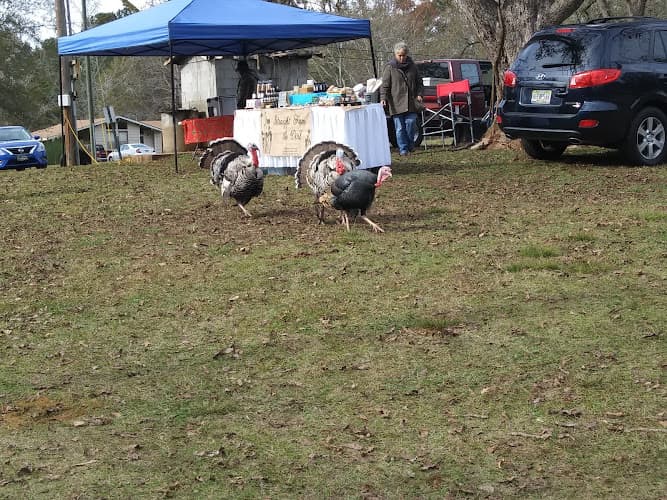 Sims Pond Farm