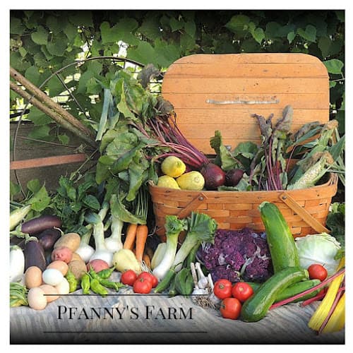 Pfanny's Farm