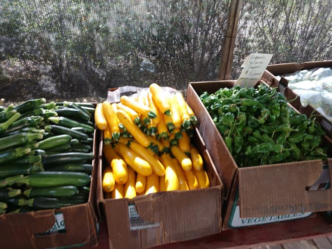 Finley Farms