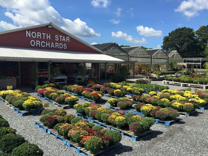North Star Orchards