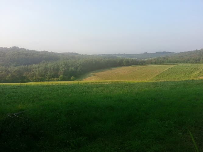 Hillside Orchards