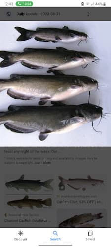 Zachsmobilefishmarket