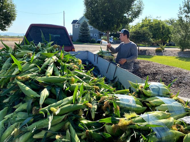 KiDZ Corn