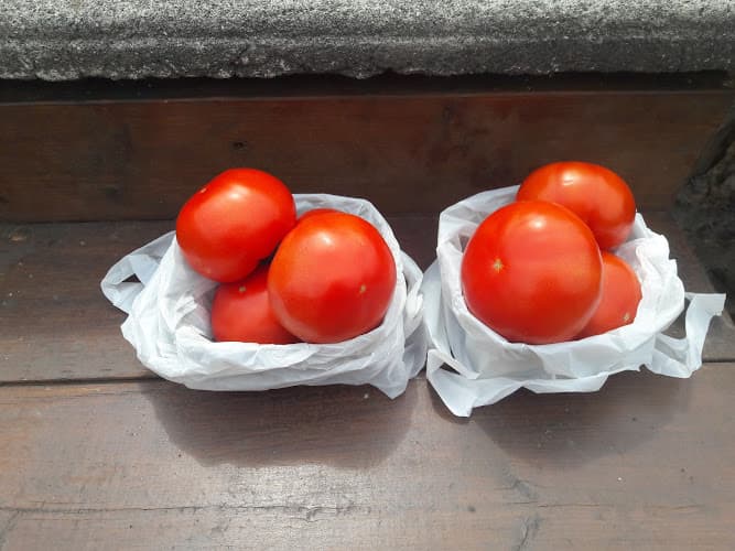 Bauer Produce Stand
