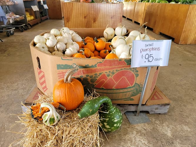 Summer Set Farm Market
