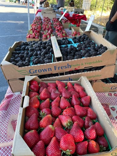 Standard Farmers Market