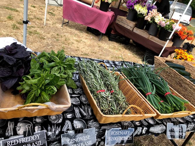 Pescadero Grown Community Farmers' Market