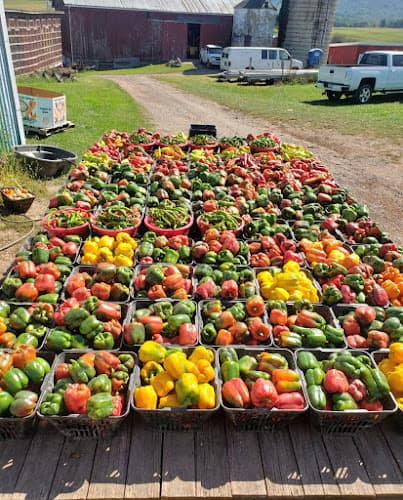 Broyan's Farm Market