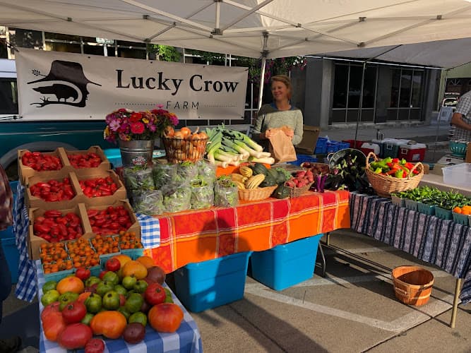 Lucky Crow Farm